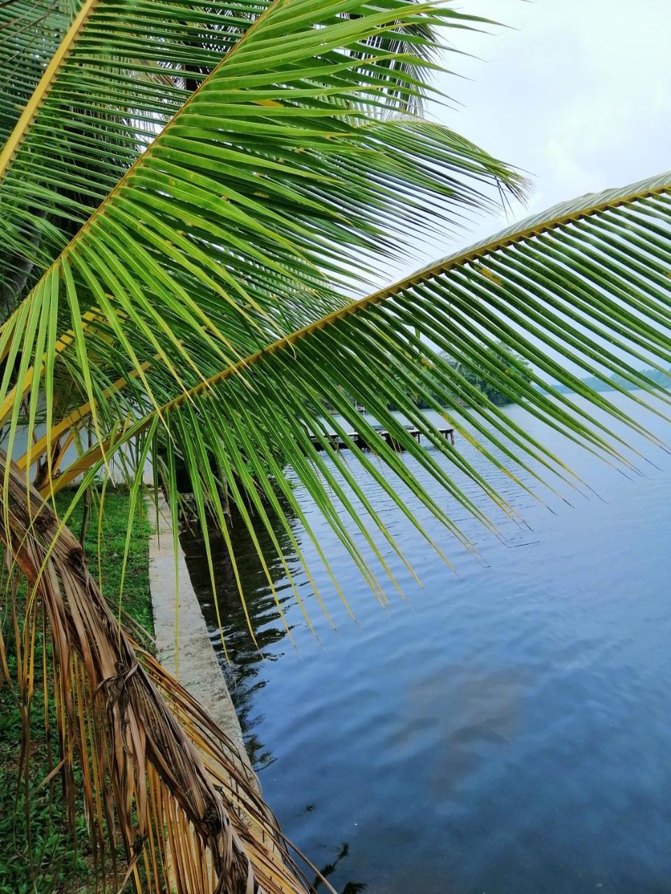 היקדואה Hikka Lagoon מראה חיצוני תמונה
